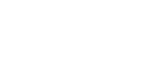 Forte Group