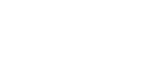 Toro Assicurazioni